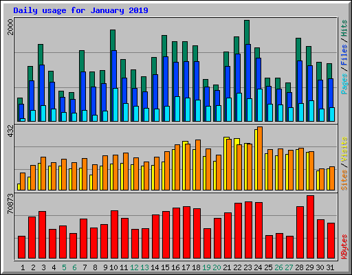Daily usage for January 2019