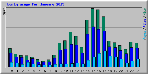 Hourly usage for January 2015
