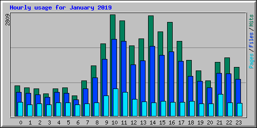 Hourly usage for January 2019